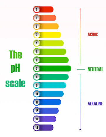 Balance Your Body’s pH