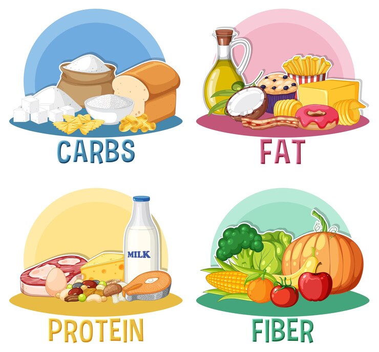 food nutrition groups